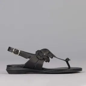 Flower Thong Sandal in Black - 12621